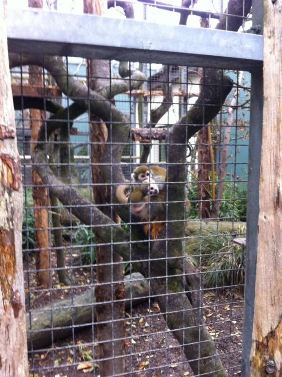 15224814_10207589280436561_2107576654_o (1).jpg